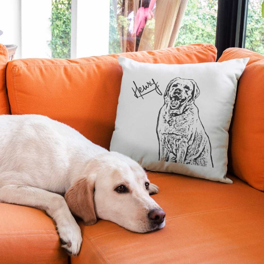 GoodBarks Custom Pet Portrait Pillow