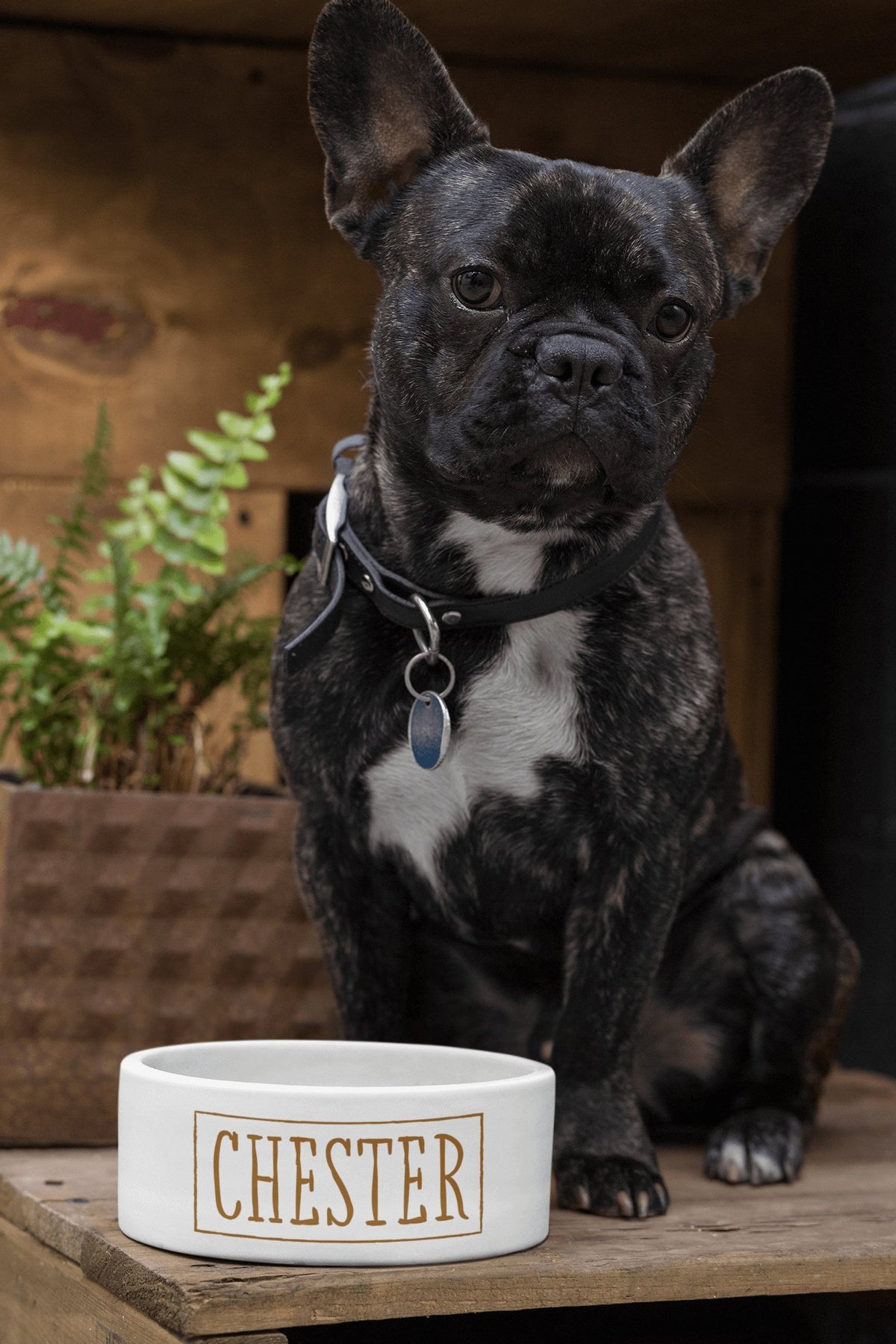 GoodBarks Personalized Pet Bowl - GoodBarks